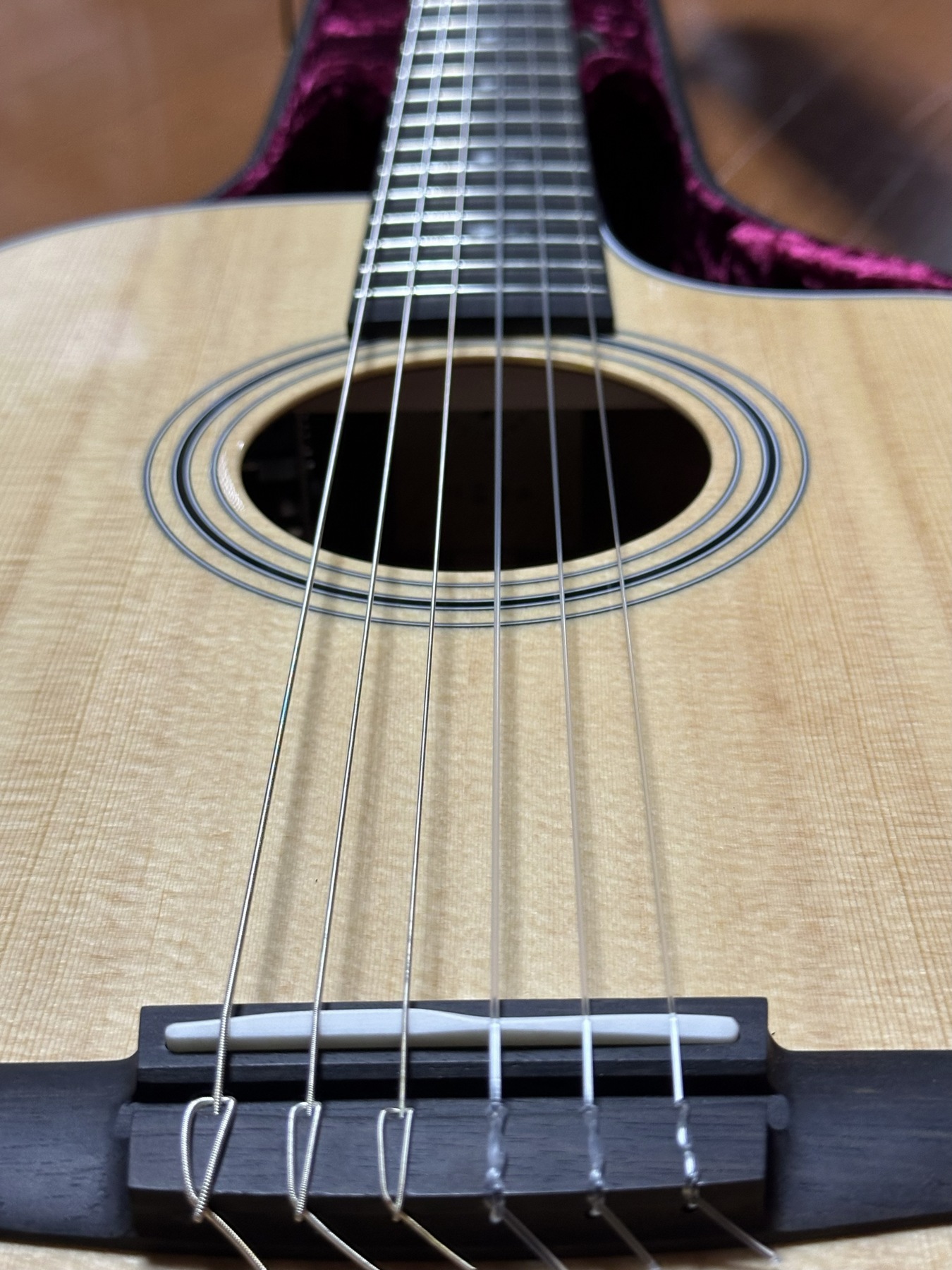Taylor エレガット:ナイロン弦とブリッジ