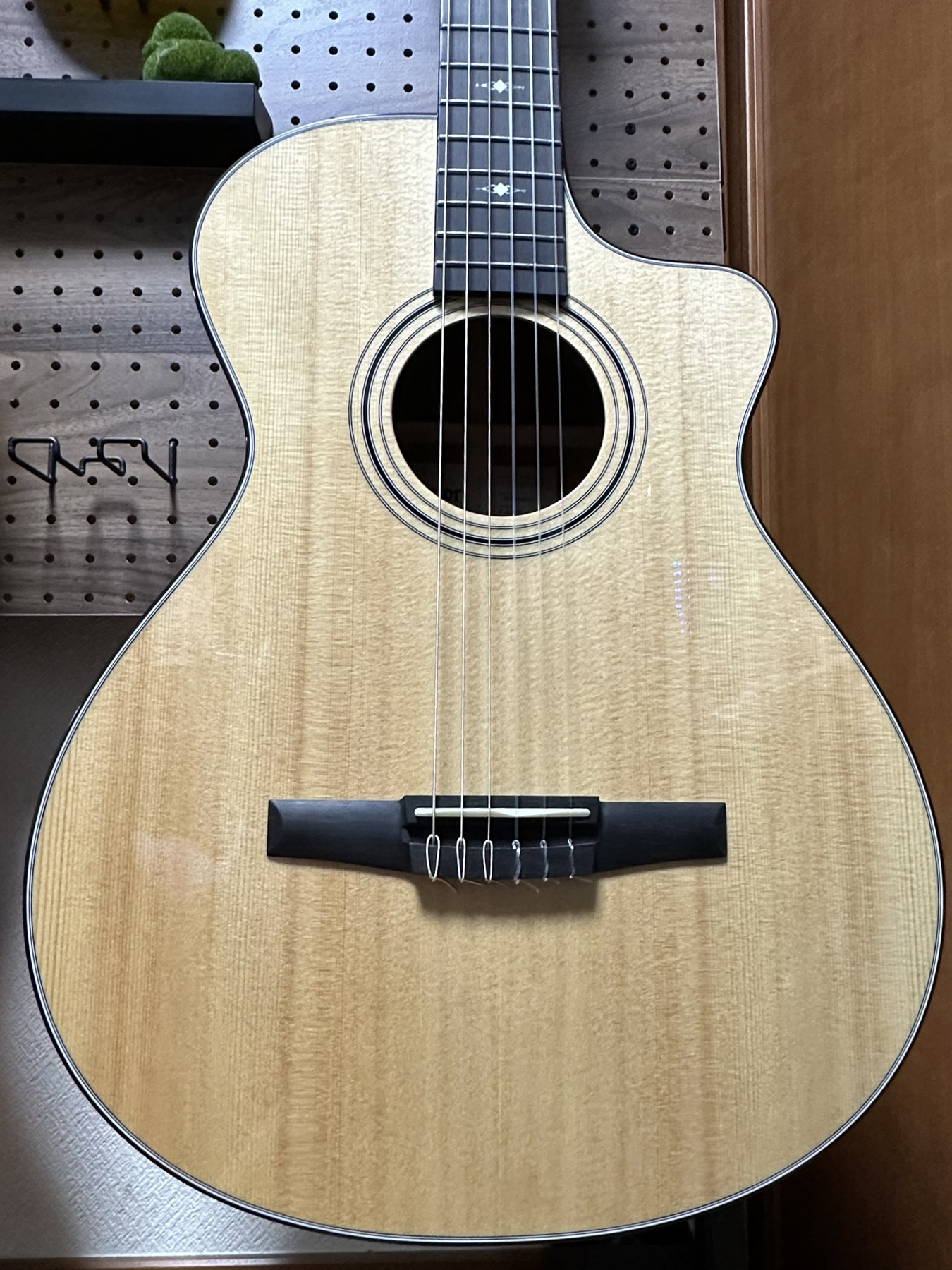 Taylor エレガット:ボディ正面