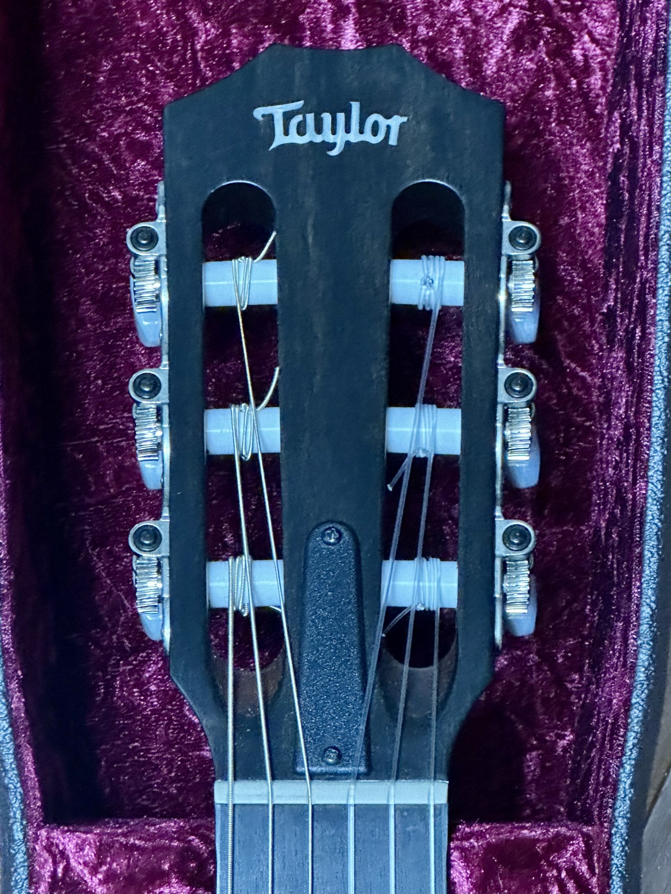 Taylor エレガットのスロッテッドヘッド
