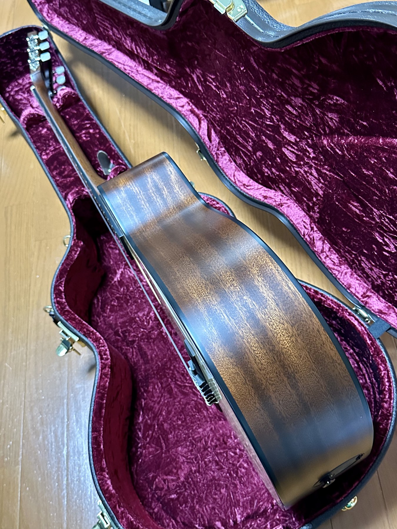 Taylor エレガット:ボディサイド